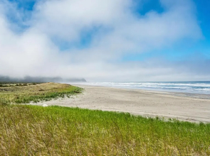 Long Beach Camping Resort Studio Cabin 4