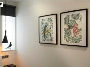 Blackbird Accommodation and Luxury Apartments room 15