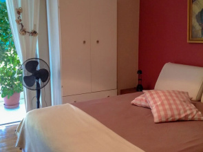 Adas House