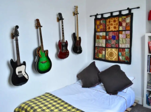 Contemporary 1 Bedroom Apartment With Indoor Cat for Company
