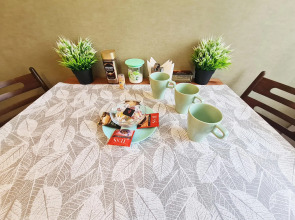 Апартаменты Новосибирска на улице Орджоникидзе