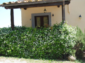 Agriturismo Tenuta Serpepe