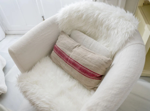 Eva Recommends Gamazo