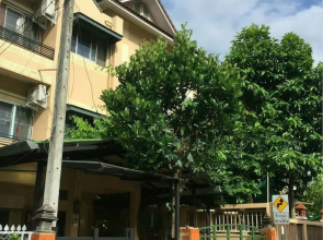 Kanoon Hostel Chiangmai