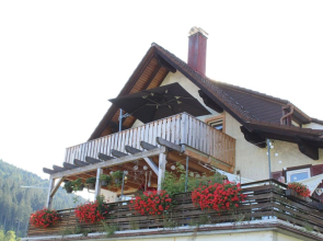 Picturesque Apartment in Baiersbronn With Bar