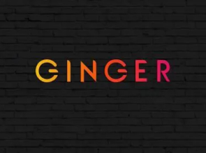 Ginger Hotel Gurgaon