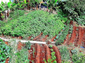 The Dream Apartment - ETC Madeira