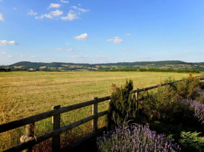 Steppes Farm Cottages