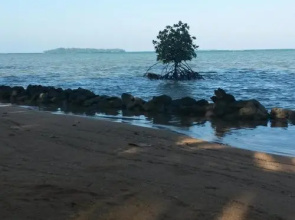 Asari Timo Beach