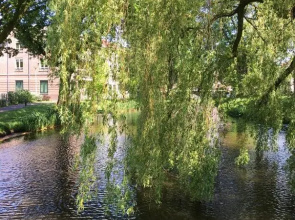 Hart van Lochem