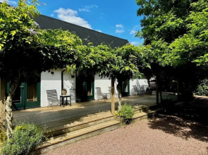 Wisteria Österlen