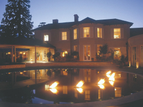 The Vineyard