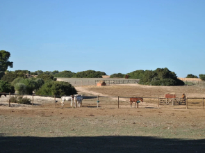 Simple house in super location with private access to the most beautiful beach.