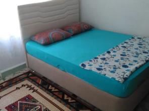 Erikli Tatil Evi 4
