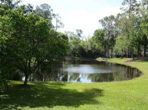 Sherwood Forest RV Resort