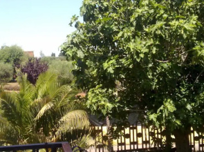 B&B A Casa Mia
