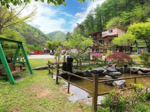 Pulneum Pension