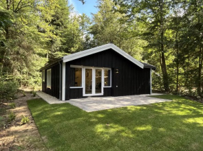 House Stuga Ruinen