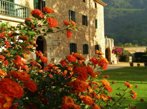 Finca Son Brondo