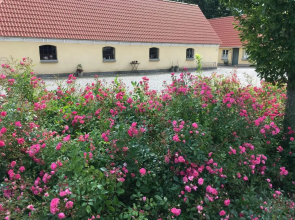 Birkende Bed And Breakfast