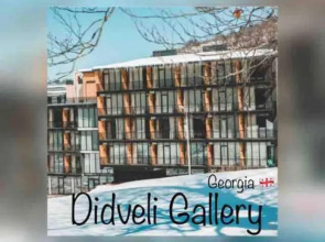 Didveli Gallery Studio Apartment B-408