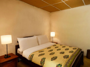 Meena Amma's Tea Experience