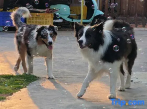 Runisuoyuan Homestay