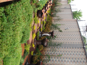 The Panari Residence