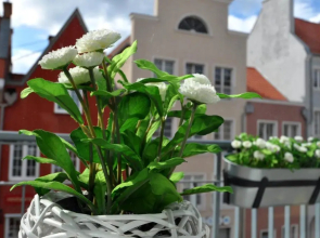 Gdansk Old Town River View