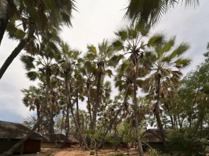 Omarunga Epupa-Falls Camp