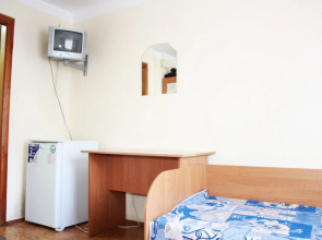 Отель Выдубичи