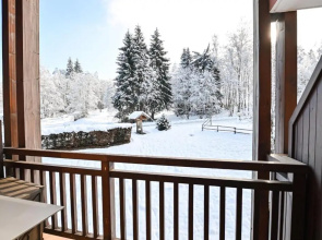 Cosy Studio ski inski out