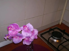 StayInBucharest Apartments