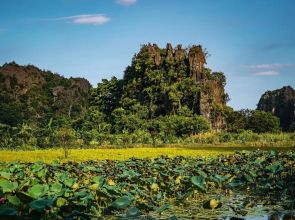 Cocoon Homestay Tam Coc