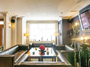 Dolphin Rooms