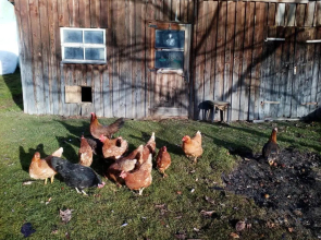 Appartment Stroblhof