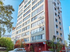 Petrovskie Apartaments on st. Karpova, 16/2