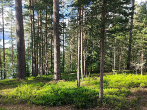 Уютный домик