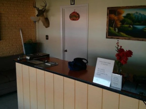 Black Gold Motel