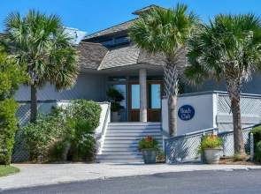 Blue Dolphin by RedAwning