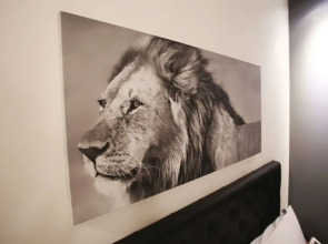 Yaja Gangnam Nonhyeon