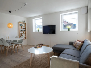 Newly Renovated 1-bed Apartment in Aalborg