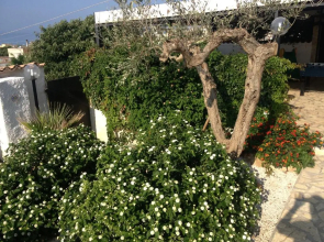 Villa Ceni - Appartamenti con camere, cucina, wc e terrazza sul mare in villa con piscina, giardino e parcheggio