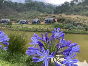 Lat Valley Retreat Village