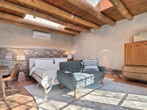 Apricot - Light-filled Modern Update to Historic Home, Walk to The Plaza and Canyon Rd