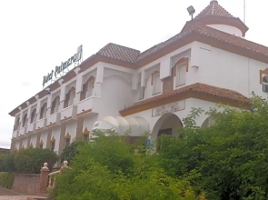 Palmero