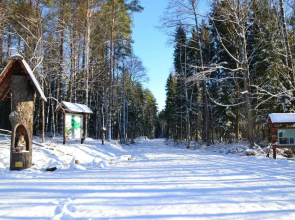 Zagajnik Holiday House
