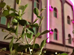Taj Al Arous