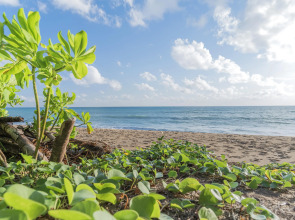 Renaissance Phuket Resort & Spa