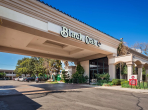 Best Western Plus Black Oak